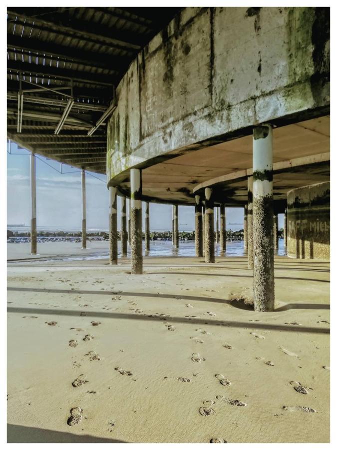Studionusi Blankenberge Esterno foto