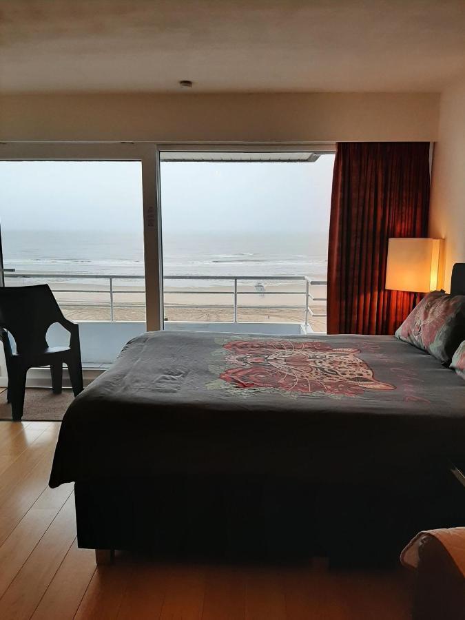 Studionusi Blankenberge Esterno foto