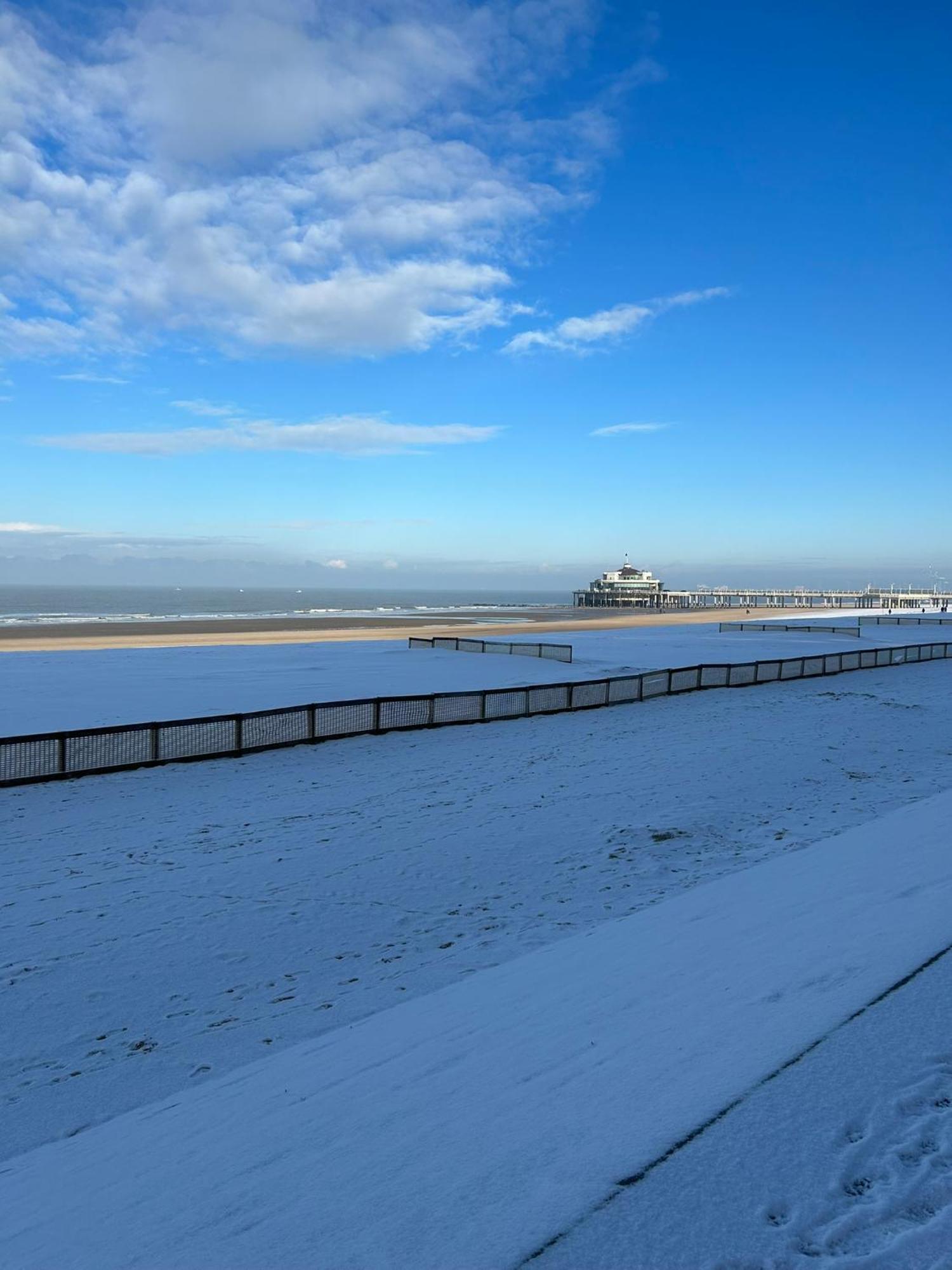 Studionusi Blankenberge Esterno foto