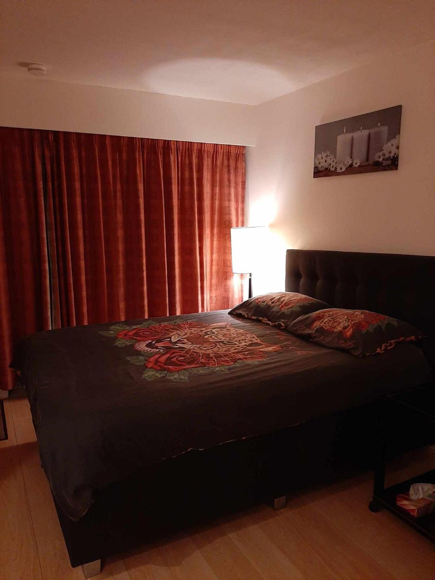 Studionusi Blankenberge Esterno foto